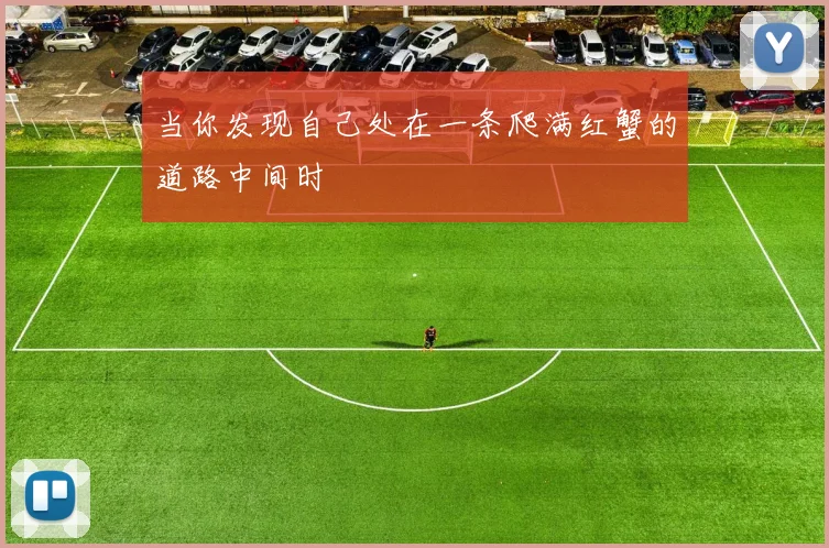 当你发现自己处在一条爬满红蟹的道路中间时