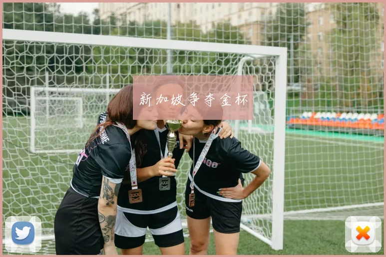 新加坡争夺金杯