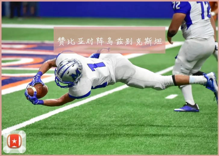 赞比亚对阵乌兹别克斯坦