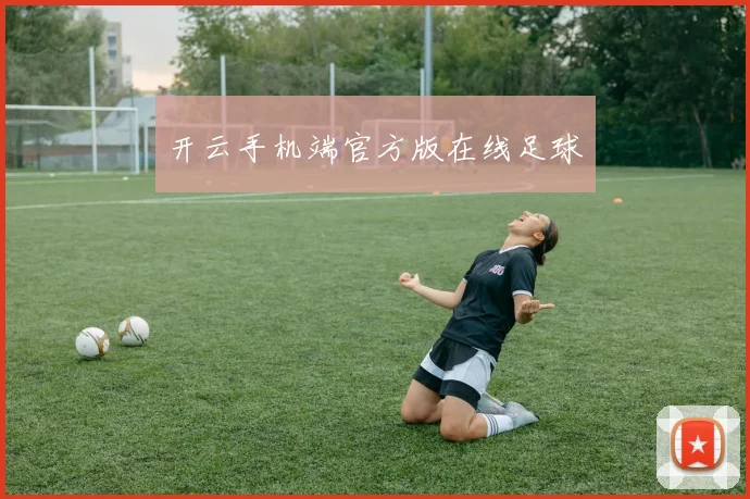 开云手机端官方版在线足球