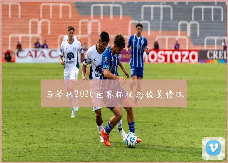 马蒂纳2026世界杯状态恢复情况