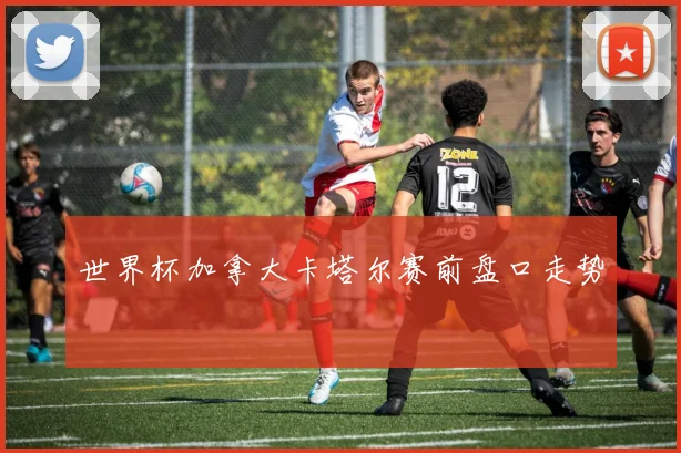 世界杯加拿大卡塔尔赛前盘口走势